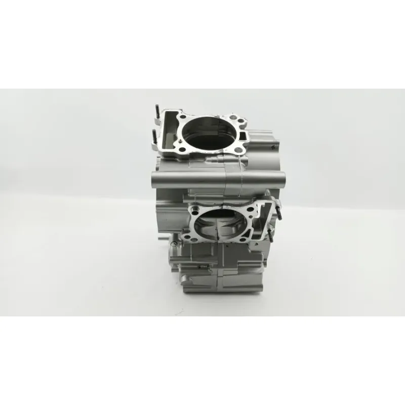 Carter moteur SUZUKI SFV 650 GLADIUS 2009 - 2015