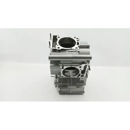Carter moteur SUZUKI SFV 650 GLADIUS 2009 - 2015