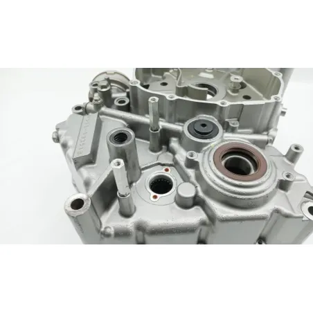Carter moteur SUZUKI SFV 650 GLADIUS 2009 - 2015