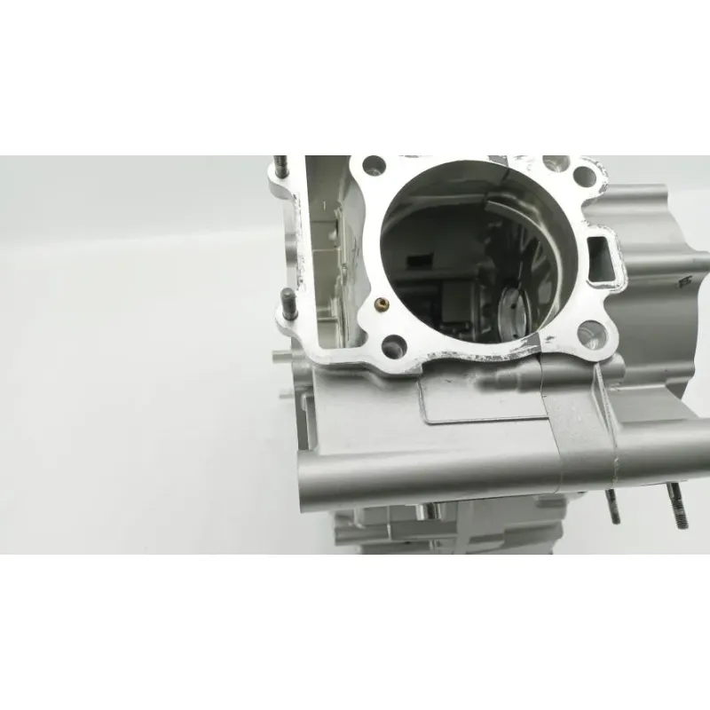 Carter moteur SUZUKI SFV 650 GLADIUS 2009 - 2015