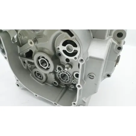 Carter moteur SUZUKI SFV 650 GLADIUS 2009 - 2015