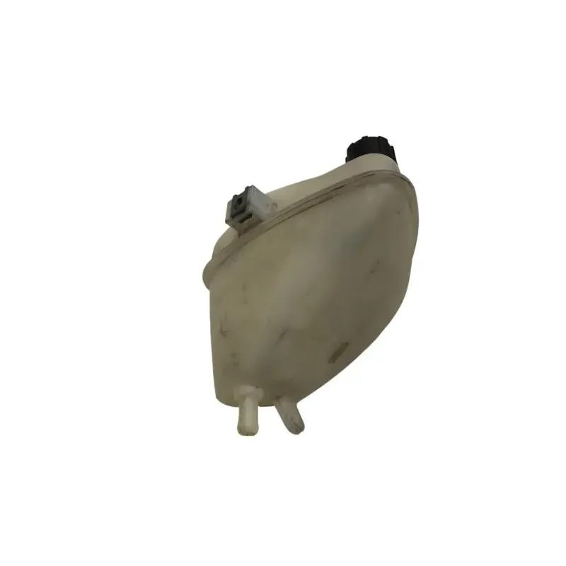 Vase expansion PIAGGIO BEVERLY 350 2016-2020 ST IE