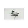 Demarreur HONDA XADV 750 ABS 2024 - 2024 Demarreur HONDA XADV 750 ABS 2024 - 2024