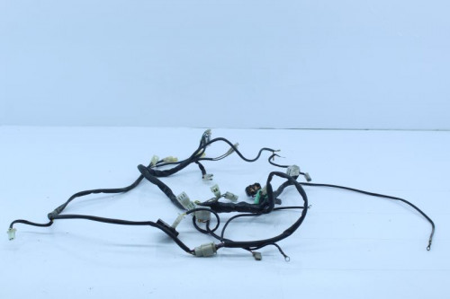 Faisceau electrique RIEJU 50 MRT 2013 - 2017