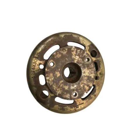 Rotor volant moteur SUZUKI AN 125 1995-2000