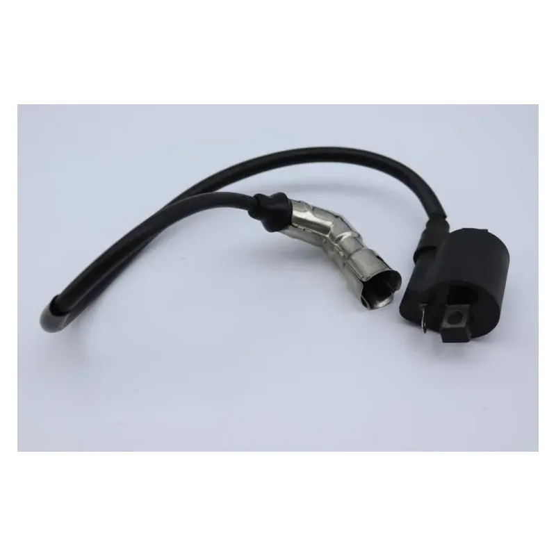 Bobine allumage YUAN XGJ 125 2006 - 2007