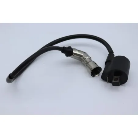Bobine allumage YUAN XGJ 125 2006 - 2007