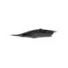 Cache carenage coque arriere droit SUZUKI GSXR 750 2006-2007 Cache carenage coque arriere droit SUZUKI GSXR 750 2006-2007