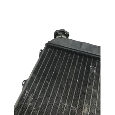 Radiateur eau SUZUKI RG 500 1985-1987