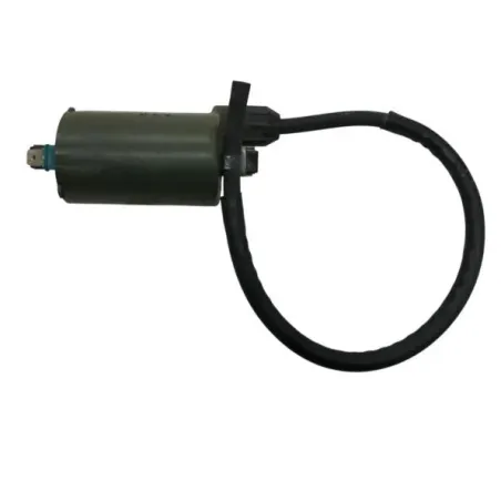 Bobine allumage HONDA NSS 250 2008-2009 FORZA
