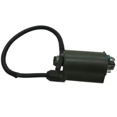 Bobine allumage HONDA NSS 250 2008-2009 FORZA