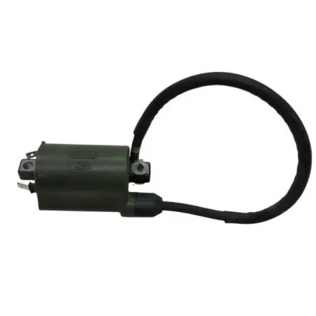 Bobine allumage HONDA NSS 250 2008-2009 FORZA