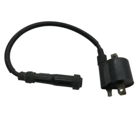 Bobine allumage APRILIA LEONARDO 125 1996-1998