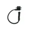 Bobine allumage APRILIA LEONARDO 125 1996-1998