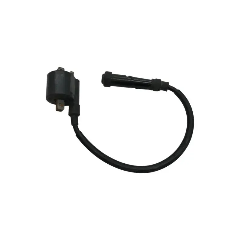 Bobine allumage APRILIA LEONARDO 125 1996-1998