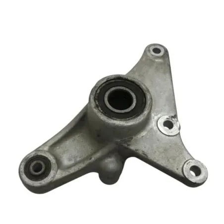 Support etrier frein arriere APRILIA LEONARDO 125 2001-2004 ST