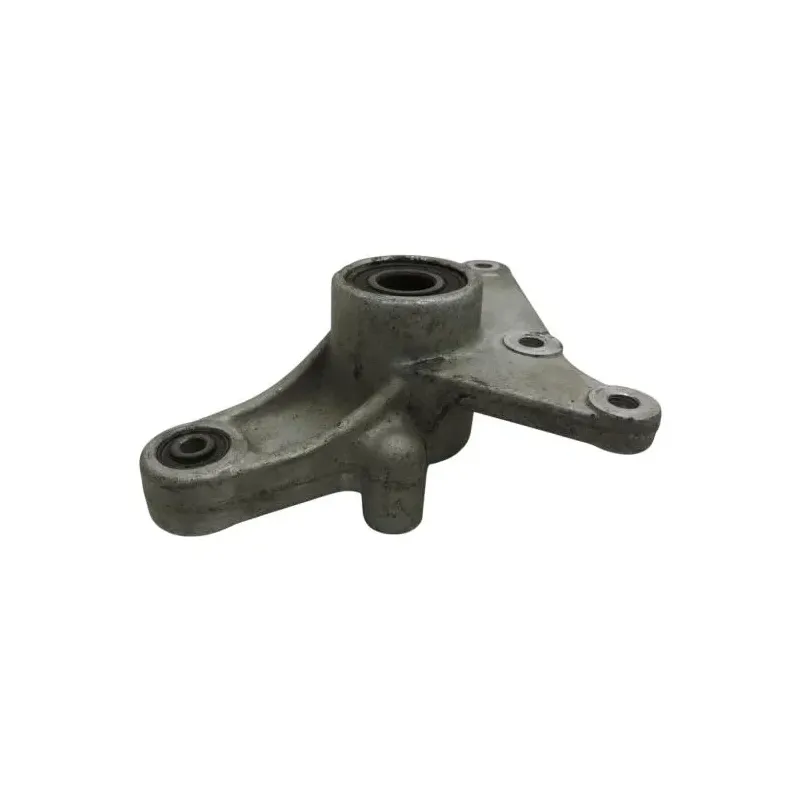 Support etrier frein arriere APRILIA LEONARDO 125 2001-2004 ST