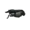 Boite a air SUZUKI UH 125 2002-2006 BURGMAN