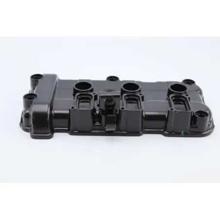 Cache culbuteur TRIUMPH SPEED TRIPLE 955 1999 - 2004