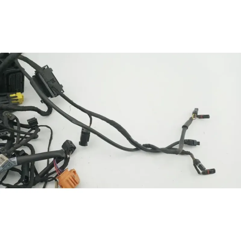 Faisceau electrique BMW C EVOLUTION 2013 - 2020
