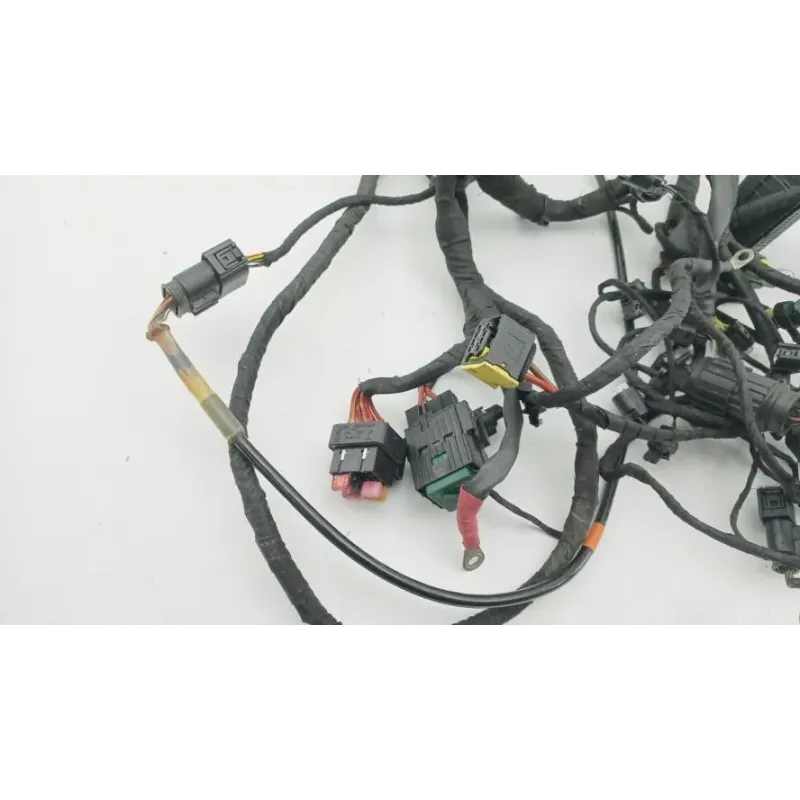 Faisceau electrique BMW C EVOLUTION 2013 - 2020
