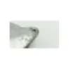 Tambour arriere KEEWAY SUPERLIGHT 125 2010 - 2017