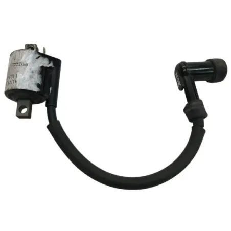 Bobine allumage MALAGUTI MADISON 125 1999-2001