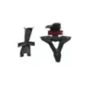 Support de plaque et eclairage TRIUMPH STREET TRIPLE 765 2017-2019