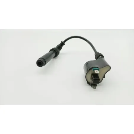 Bobine allumage KAWASAKI Z 125 2019 - 2020