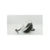 Optique (feux)(phare) SHANSU EGREEN 50 2021 - 2022 Optique (feux)(phare) SHANSU EGREEN 50 2021 - 2022