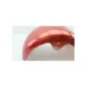 Garde boue avant SHANSU EGREEN 50 2021 - 2022 Garde boue avant SHANSU EGREEN 50 2021 - 2022
