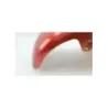 Garde boue avant SHANSU EGREEN 50 2021 - 2022 Garde boue avant SHANSU EGREEN 50 2021 - 2022
