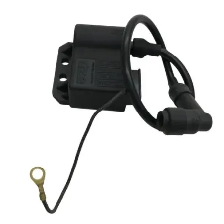 Boitier cdi RIEJU RS2 50 2003-2010