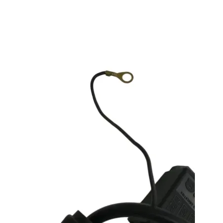 Boitier cdi RIEJU RS2 50 2003-2010