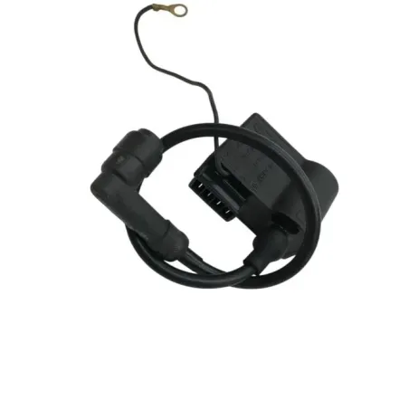 Boitier cdi RIEJU RS2 50 2003-2010
