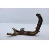 Collecteur (echappement) YAMAHA TDM 900 2002 - 2011 Collecteur (echappement) YAMAHA TDM 900 2002 - 2011