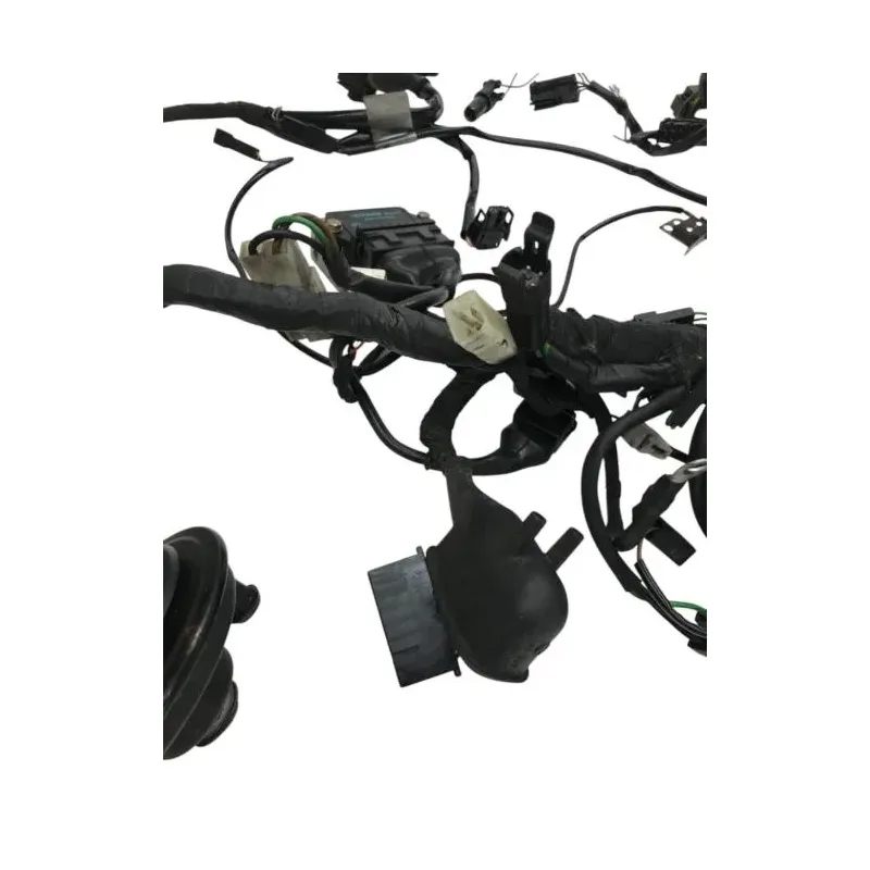 Faisceau electrique BMW R 80 R 800 1991-1996