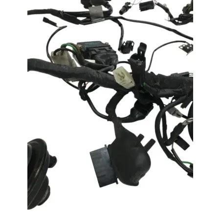 Faisceau electrique BMW R 80 R 800 1991-1996