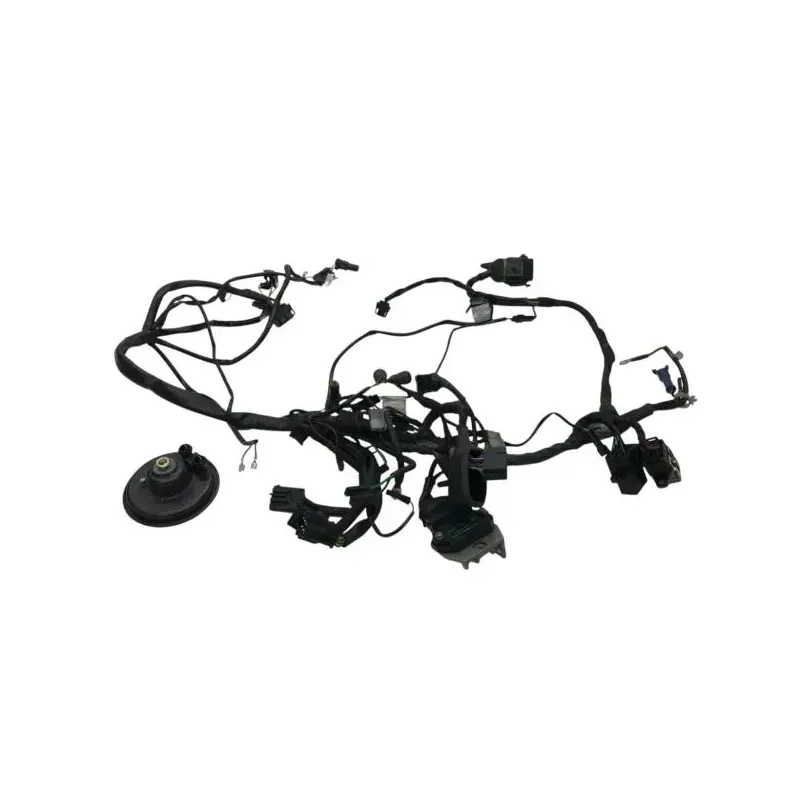 Faisceau electrique BMW R 80 R 800 1991-1996