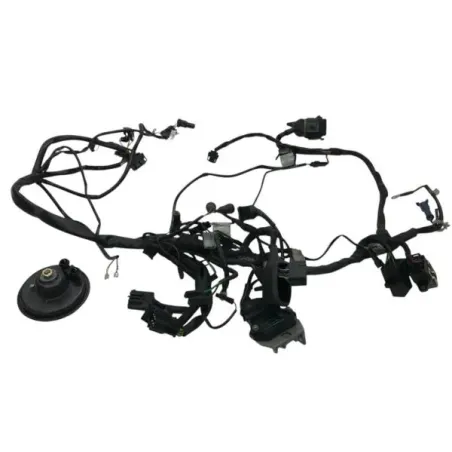 Faisceau electrique BMW R 80 R 800 1991-1996