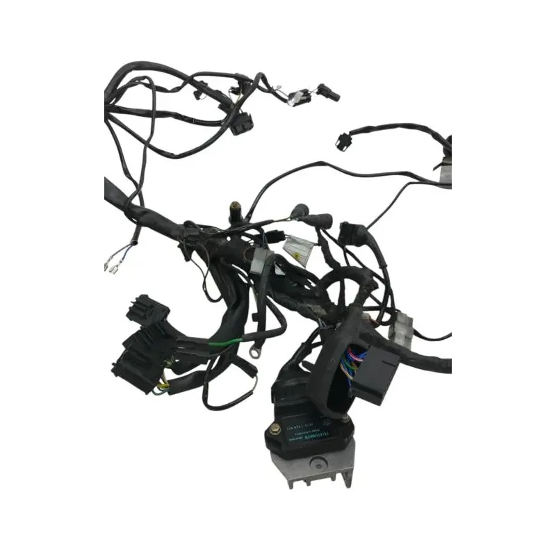 Faisceau electrique BMW R 80 R 800 1991-1996