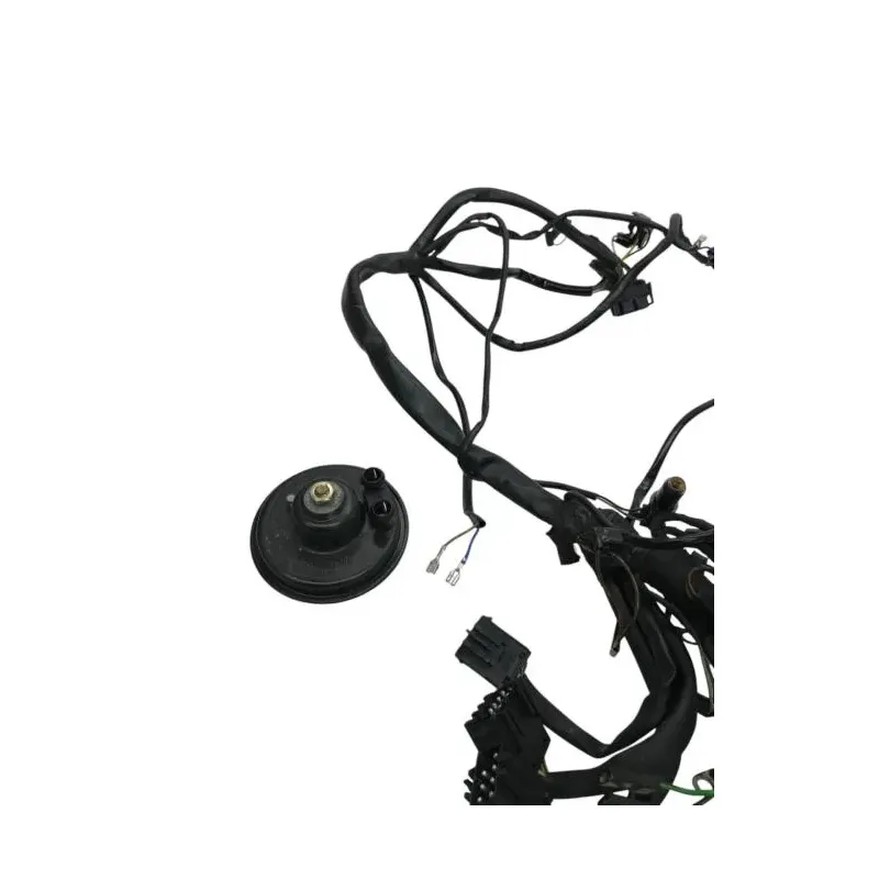 Faisceau electrique BMW R 80 R 800 1991-1996
