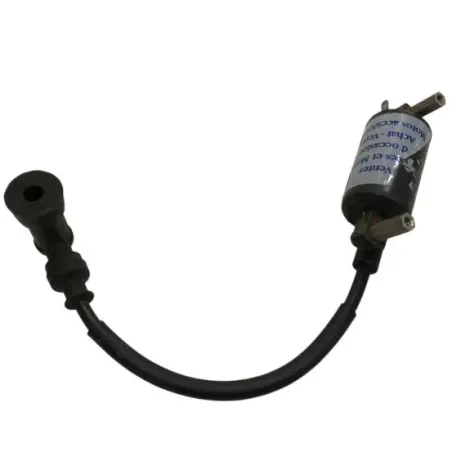 Bobine allumage SUZUKI GN 125 1982-1996