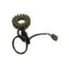 Stator alternateur BMW F 750 GS 2018-2023 Stator alternateur BMW F 750 GS 2018-2023