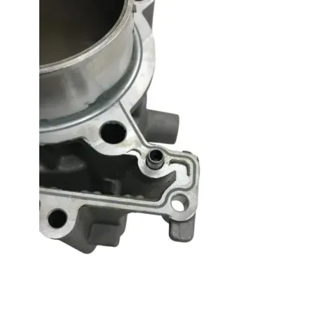 Piston cylindre BMW C 400 GT 2018-2020