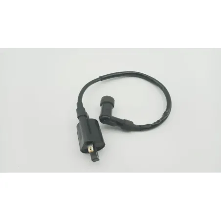 Bobine allumage YAMAHA SLIDER 50 EW 2000 - 2002