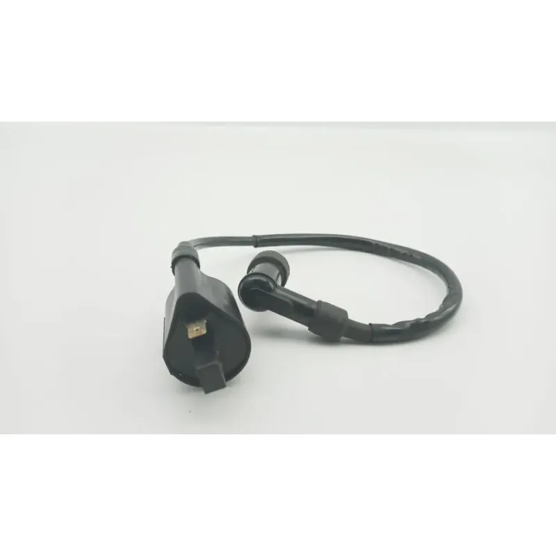 Bobine allumage YAMAHA SLIDER 50 EW 2000 - 2002