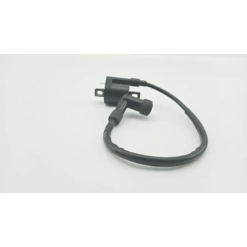 Bobine allumage YAMAHA SLIDER 50 EW 2000 - 2002
