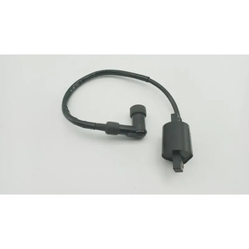 Bobine allumage YAMAHA SLIDER 50 EW 2000 - 2002