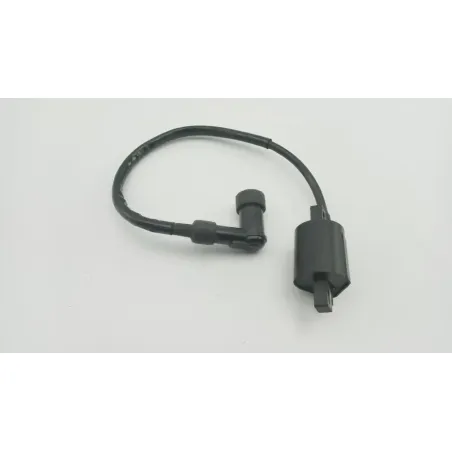 Bobine allumage YAMAHA SLIDER 50 EW 2000 - 2002